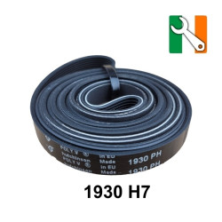 1930 H7 Tumble Dryer Belt (09-CY-30CG)